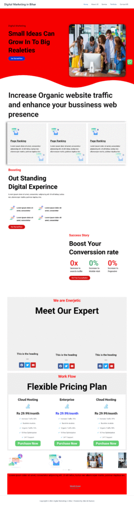 Marketing Website Design Project in Bihar